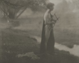Untitled; George H. Seeley, American, 1880 - 1955, Stockbridge, Massachusetts, United States; about 1903; Platinum print