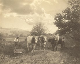 Men with Cattle; Robert S. Redfield, American, 1849 - 1923, about 1890; Platinum print; 19.2 x 24 cm, 7 9,16 x 9 7,16 in