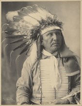 Bear Foot, Sioux; Adolph F. Muhr, American, died 1913, Frank A. Rinehart, American, 1861 - 1928, 1899; Platinum print