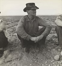Waiting for Work on Edge of the Pea Field, Holtville, Imperial Valley, California; Dorothea Lange American, 1895 - 1965