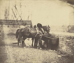 Horses at a trough; John Bevan Hazard, English, 1831 - 1892, 1850s; Salted paper print; 12.2 × 14.5 cm, 4 13,16 × 5 11,16 in
