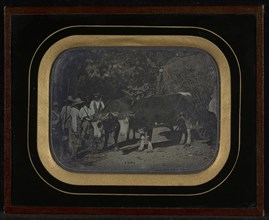 Peasants with oxen and wagon; Jean-Gabriel Eynard, Swiss, 1775 - 1863, about 1847; Daguerreotype
