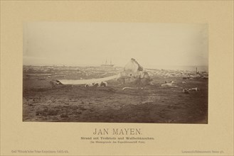 Jan Mayen, Strand mit Treibholz und Walfischknochen., Im Hintergrunde des Expeditionsschiff Pola);, Linienschiffs-Lieutenant