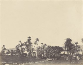 Bords du Nil, Kalabsché; John Beasly Greene, American, born France, 1832 - 1856, Kalabsché, Egypt; 1853 - 1854; Salted paper