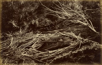The Eagle's Nest, Wairakei, New Zealand; Valentine & Sons, Scottish, 1851 - 1910, New Zealand; about 1892; Gelatin silver print