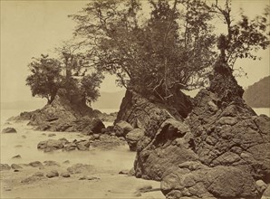 Tropical Scenery, Islands, Limon Bay; John Moran, American, born England, 1829 - 1902, 1871; Albumen silver print