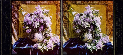 Lilacs; Lumière Brothers; about 1898; All-Chroma autochrome; 7 x 6.7 cm, 2 3,4 x 2 5,8 in
