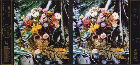 Still life of flowers and ferns; Lumière Brothers; 1907; All-Chroma autochrome; 7 x 6.7 cm 2 3,4 x 2 5,8 in