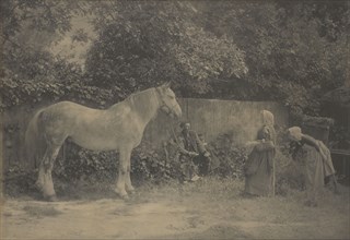 Old Dapple; Henry Peach Robinson, British, 1830 - 1901, 1899; Platinum print; 43.8 x 65.7 cm, 17 1,4 x 25 7,8 in