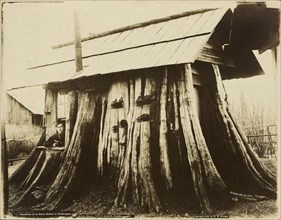 Residence of an Early Settler in Washington; Darius Kinsey, American, 1869 - 1945, Washington, United States; 1901; Gelatin