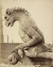 Gargoyle, Notre Dame, Paris, France; French; Paris, France; about 1870; Albumen silver print