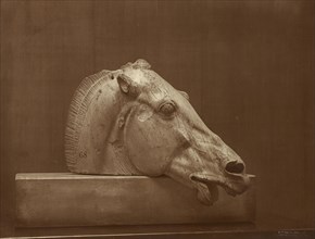 Head of a Horse from the Pediment of the Parthenon, British Museum; Adolphe Braun, French, 1811 - 1877, about 1865; Albumen