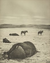 After the Chase, North Montana Range, M.T. Jan 82; Laton Alton Huffman, American, 1854 - 1931, negative January 1882; print