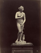 Venus di Medici; Fratelli Alinari, Italian, founded 1852, Florence, Italy; about 1856 - 1872; Albumen silver print
