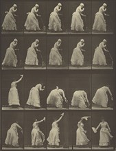 Animal Locomotion; Eadweard J. Muybridge, American, born England, 1830 - 1904, 1887; Collotype; 30.6 x 23 cm