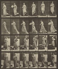 Animal Locomotion; Eadweard J. Muybridge, American, born England, 1830 - 1904, 1887; Collotype; 26.4 x 24.3 cm