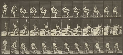Animal Locomotion; Eadweard J. Muybridge, American, born England, 1830 - 1904, 1887; Collotype; 17.3 x 39.8 cm