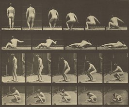 Animal Locomotion; Eadweard J. Muybridge, American, born England, 1830 - 1904, 1887; Collotype; 23.8 x 29.7 cm