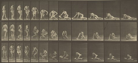 Animal Locomotion; Eadweard J. Muybridge, American, born England, 1830 - 1904, 1887; Collotype; 17.8 x 39.4 cm