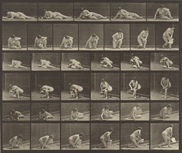 Animal Locomotion; Eadweard J. Muybridge, American, born England, 1830 - 1904, 1887; Collotype; 23.8 x 28.6 cm