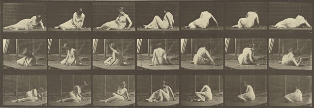 Animal Locomotion; Eadweard J. Muybridge, American, born England, 1830 - 1904, 1887; Collotype; 14.9 x 43.8 cm