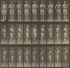 Animal Locomotion; Eadweard J. Muybridge, American, born England, 1830 - 1904, 1887; Collotype; 26.2 x 27 cm