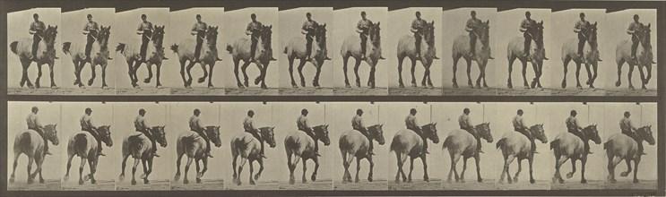 Animal Locomotion; Eadweard J. Muybridge, American, born England, 1830 - 1904, 1887; Collotype; 12.5 x 44.5 cm