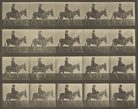 Animal Locomotion; Eadweard J. Muybridge, American, born England, 1830 - 1904, 1887; Collotype; 23.8 x 29.5 cm
