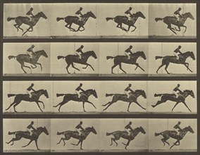 Animal Locomotion; Eadweard J. Muybridge, American, born England, 1830 - 1904, 1887; Collotype; 23.8 x 30.8 cm