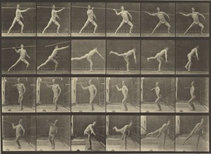 Animal Locomotion; Eadweard J. Muybridge, American, born England, 1830 - 1904, 1887; Collotype; 22.4 x 31.3 cm