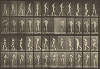 Animal Locomotion; Eadweard J. Muybridge, American, born England, 1830 - 1904, 1887; Collotype; 21.4 x 31.3 cm