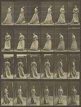 Animal Locomotion; Eadweard J. Muybridge, American, born England, 1830 - 1904, 1887; Collotype; 31.8 x 24.3 cm