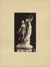 Bernini's Apollo and Daphne; James Anderson, British, 1813 - 1877, Rome, Italy; about 1845 - 1855; Albumen silver print