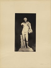 Belvedere Antonius; James Anderson, British, 1813 - 1877, Rome, Italy; about 1845 - 1855; Albumen silver print