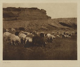 Navaho Flocks; Edward S. Curtis, American, 1868 - 1952, 1904; Gravure; 30.2 x 39.8 cm 11 7,8 x 15 11,16 in