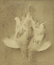 The First of September; William Lake Price, British, 1810 - 1896, London, England; May 1, 1855; Albumen silver print