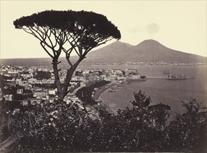 Panorama of Vomero with Pine Tree; Giorgio Sommer, Italian, born Germany, 1834 - 1914, Vomero, Italy; about 1870; Albumen