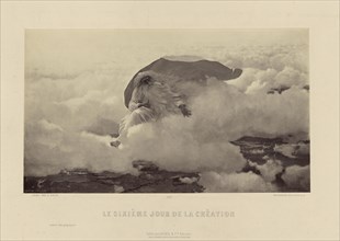 Le Sixième Jour de la Création  by G. Brion; Goupil & Cie., French, active 1839 - 1860s, 1862 - 1865; Albumen silver print