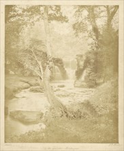 In the Grounds, Penllergare; John Dillwyn Llewelyn, British, 1810 - 1887, about 1855; Albumen silver print
