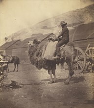 Man Riding Camel; Roger Fenton, English, 1819 - 1869, about 1856; Salted paper print; 18.8 x 16.5 cm 7 3,8 x 6 1,2 in