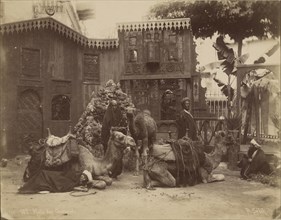Hall of Camels; Pascal Sébah, Turkish, 1823 - 1886, 1860s - 1870s; Albumen silver print
