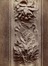 Relief sculpture of leaves; Italian; about 1865 - 1885; Albumen silver print