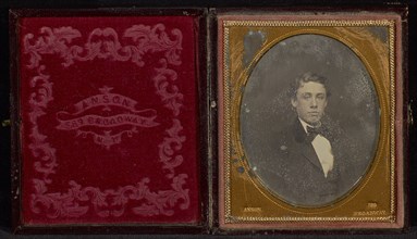 Portrait of a Young Man; Rufus Anson, American, active New York 1851 - 1867, about 1852 - 1853; Daguerreotype, hand-colored