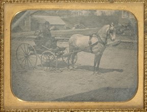Horse and buggy with driver on seat with dog; American; about 1850; Daguerreotype