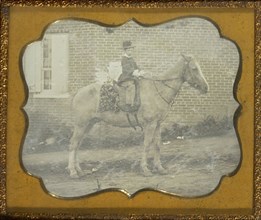 Boy in Hat on Horse; American; about 1849 - 1851; Daguerreotype