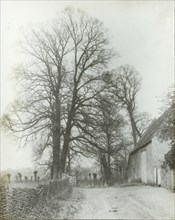 Kelmscott Manor. Road and Entrance; Frederick H. Evans, British, 1853 - 1943, 1896; Lantern slide; 6.2 x 4.9 cm