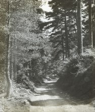 Near Coldharbour; Frederick H. Evans, British, 1853 - 1943, 1893; Lantern slide; 7 x 6 cm 2 3,4 x 2 3,8 in