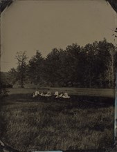 Group of five women and 2 men sitting on the grass in a large field, trees in background; American; about 1870 - 1880; Tintype