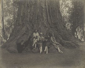 Women with Cameras at the Base of a Tree; Louis Fleckenstein, American, 1866 - 1943, about 1900; Gelatin silver print