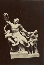 Statue of Laocoön and His Sons; about 1870 - 1890; Albumen silver print